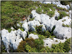 foto Panorama dal Monte Verena